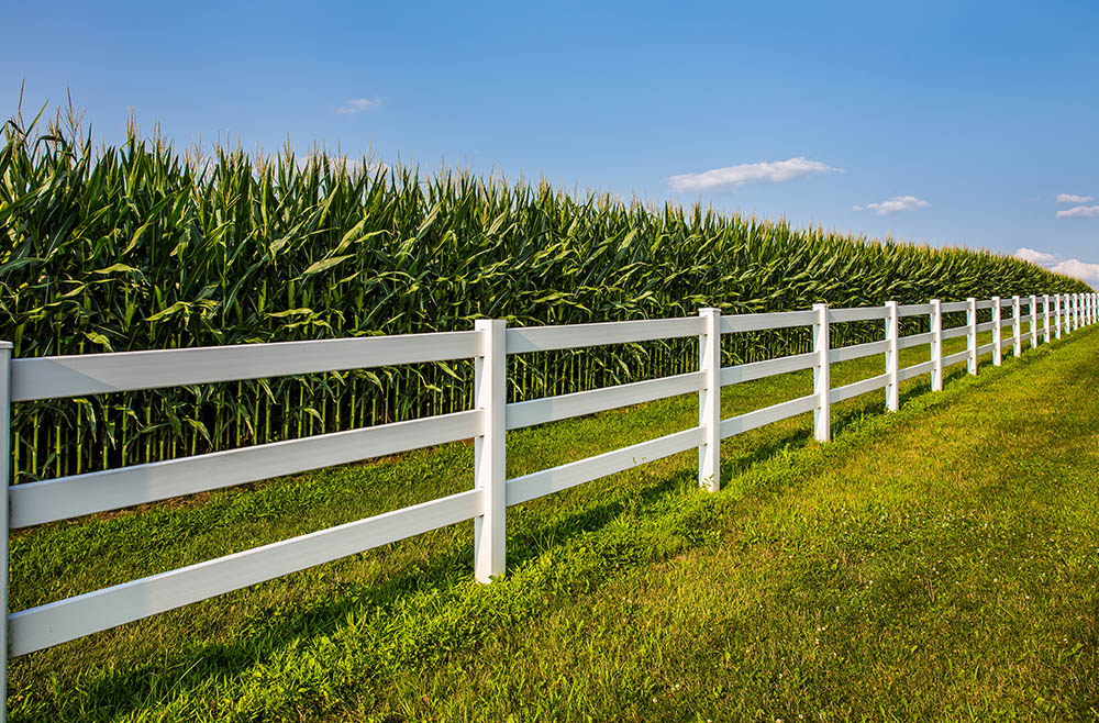Farm agricultural fence installation