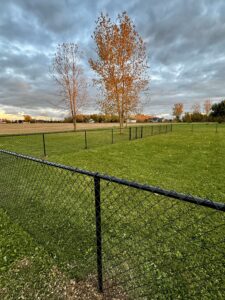 Chain link Fence in Monroe Michigan